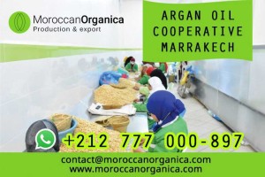 Argan oil wholesale in bulk